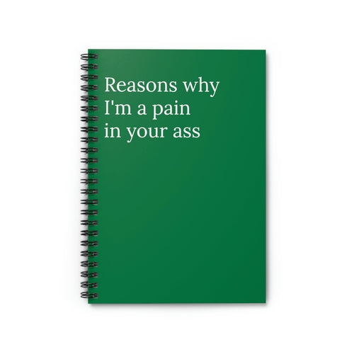 Reasons Why I'm a Pain Notebook