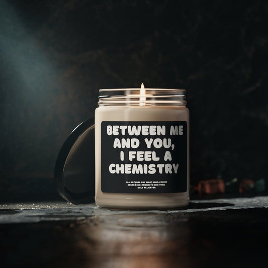 Between Me and You I feel A Chemistry Soy Candle, 9oz