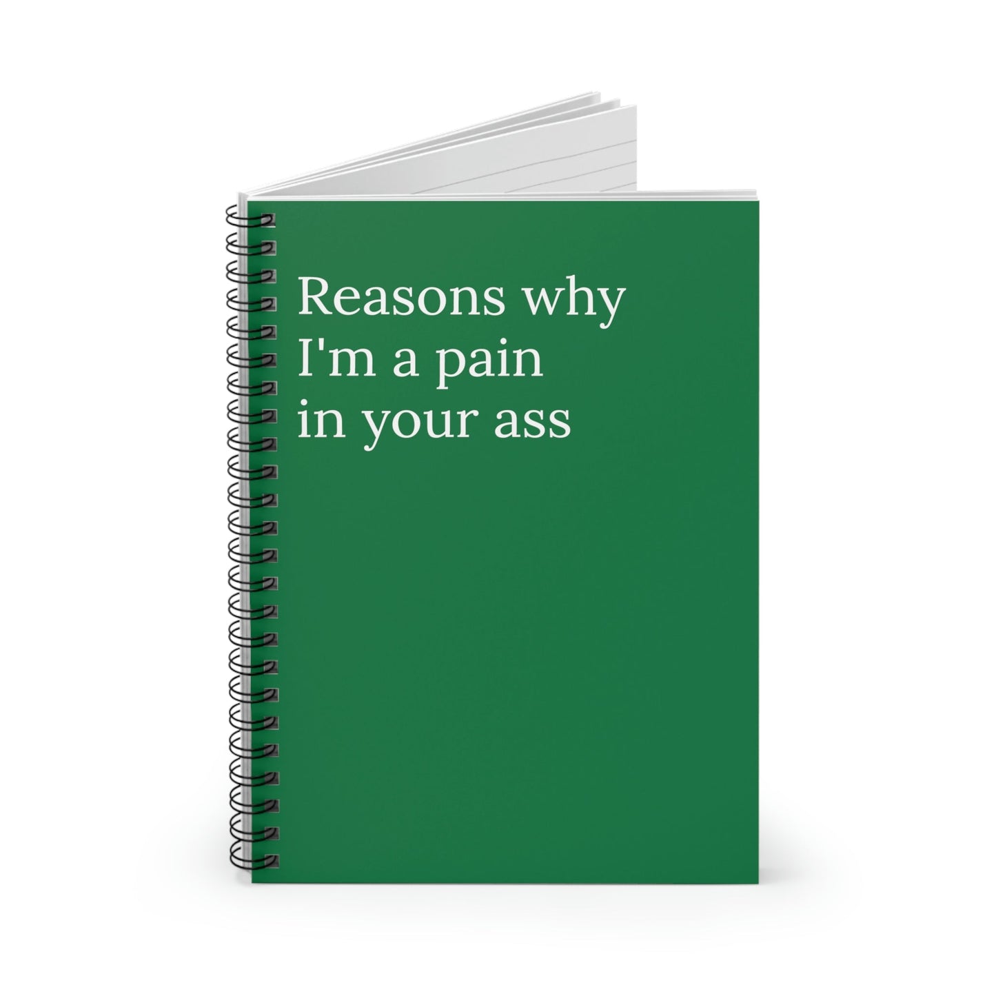 Reasons Why I'm a Pain Notebook