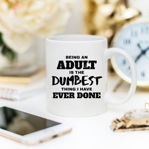 Being An Adult Is The Dumbest Thing...