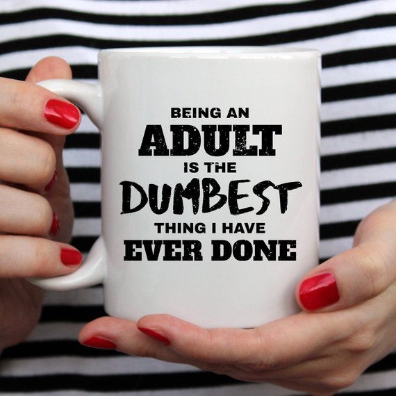 Being An Adult Is The Dumbest Thing...